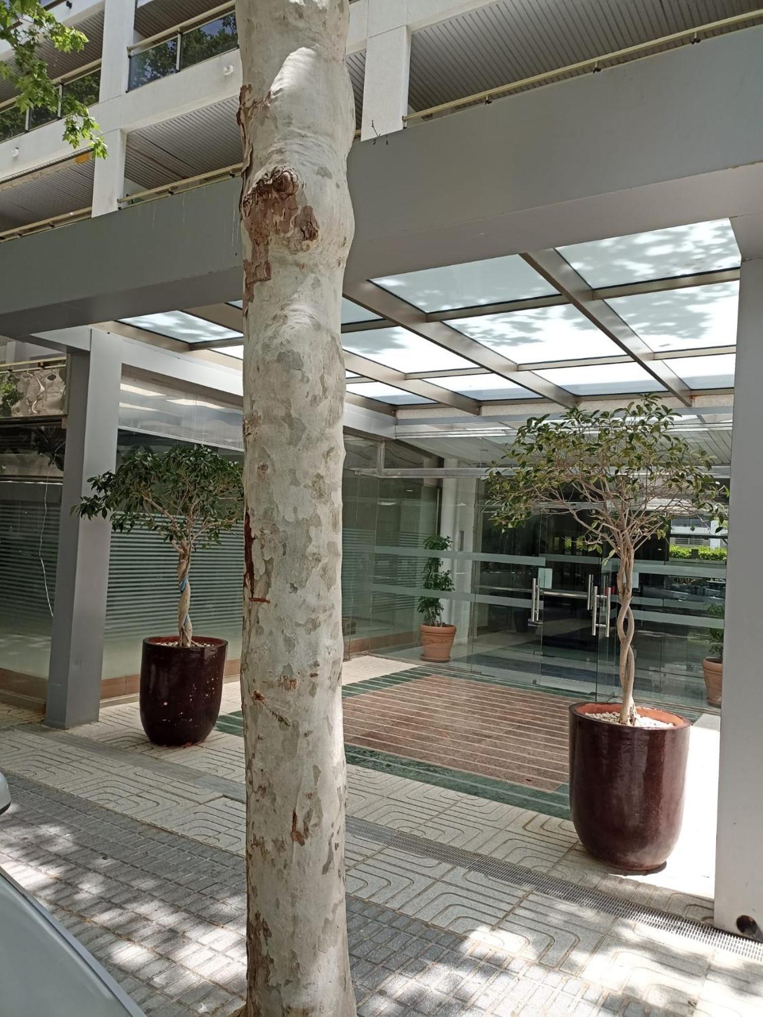 Ferienwohnung Michelangelo Salou Exterior foto